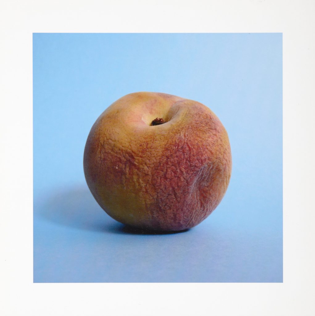 Sami Parkkinen: Untitled 11, sarjasta Paratiisi, 2010